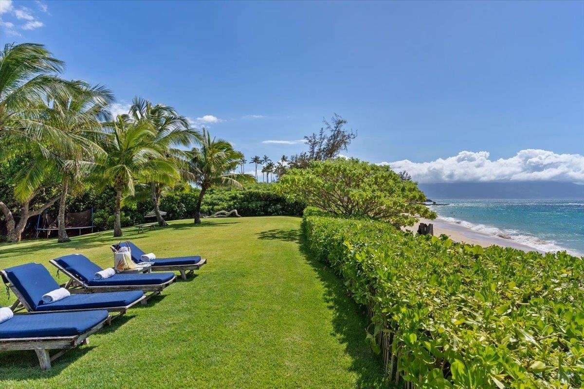 Oceanfront lawn and palm trees at a Paia, Maui property